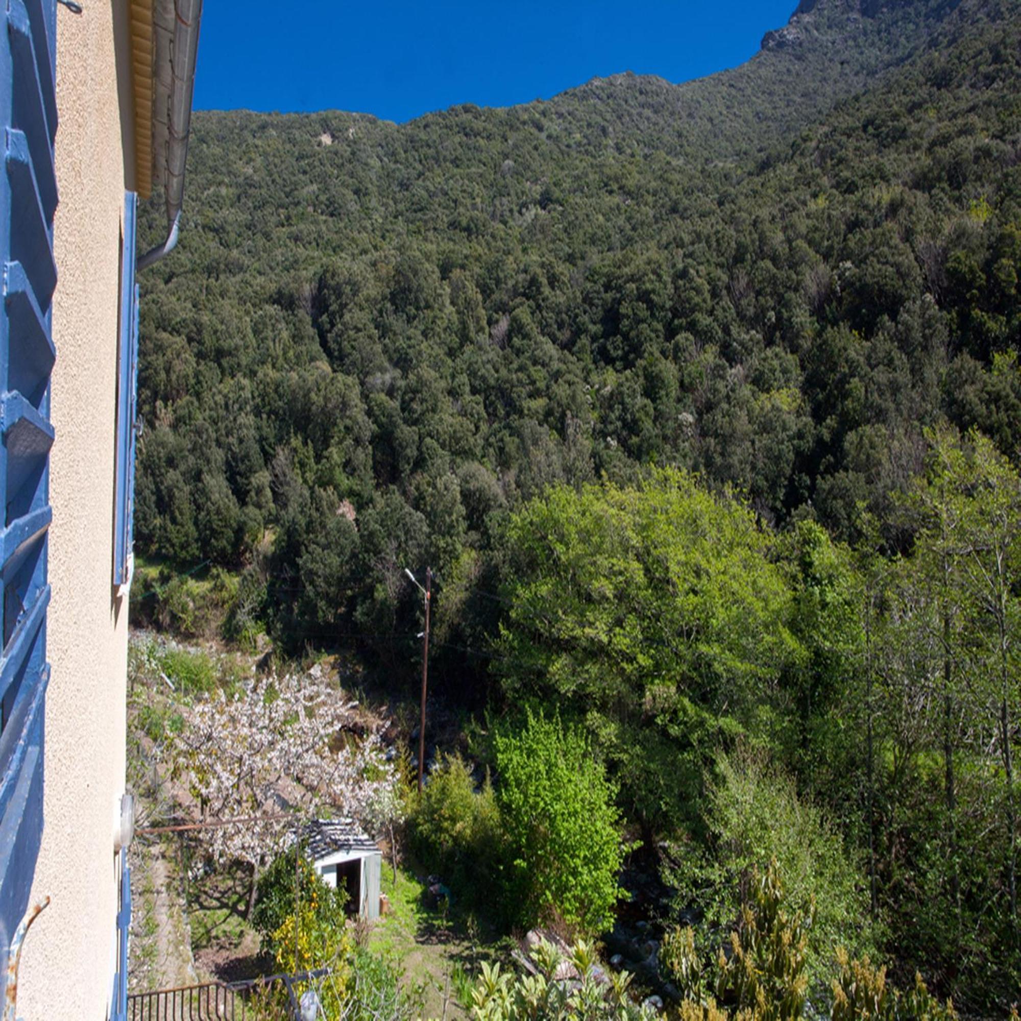 Les Gites Du Cap Corse Nonza Zimmer foto